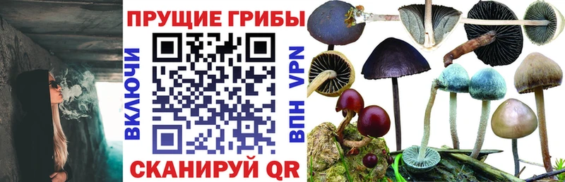 Псилоцибиновые грибы GOLDEN TEACHER  Маркс 