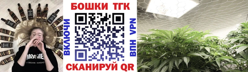 как найти   Маркс  МАРИХУАНА сатива 